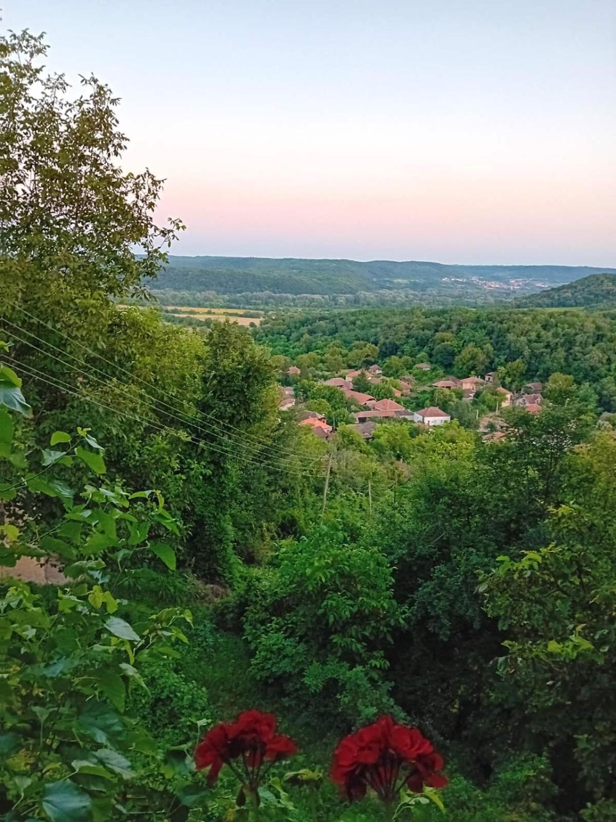 Country House Pivnica Milic Rogljevo Bagian luar foto